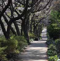 여행정보문의테마가있는보물지도 2 제주관광백과테마가있는보물지도 1 제주이야기푸른땅제주 한라수목원 연인과걷기좋은곳