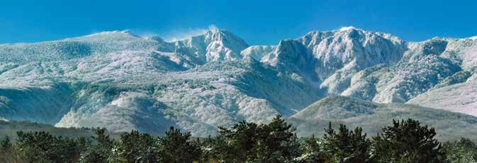 푸른땅제주 여행정보문의테마가있는보물지도 2 제주관광백과테마가있는보물지도 1 제주이야기 한라산등반의최고봉 관음사등산로 총 8.7km 5시간소요해발 620m 관음사안내소 - 3.2km 지점탐라계곡 - 4.9km 지점개미등 - 6km 삼각봉대피소 - 8.7km 지점백록담동능 ( 정상 ) 급경사가심해한라산등반의지옥코스로유명하다.