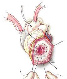 SECTION TOPIC 6 A B C D 그림 1.