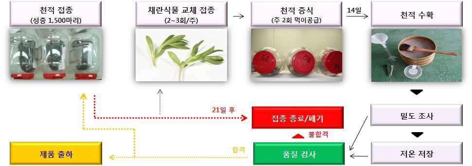 (3) 선발된천적서식처의대량생산시스템개발 ( 가 ) 시험목적 : 토마토나딸기에서발생하는주요해충에대한 Push-Pull 전략개발을위한가장효과적인천적서식처의대량생산시스템개발 ( 나 ) 시험시기 : 2016년 (1년차) 3/4-4/4분기, 2017년 (2년차) 1/4-4/4분기 ( 다 ) 시험지역 : 연구기관내실험실 ( 라 ) 시험방법 :