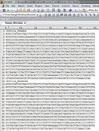 (11) 위의과정을반복하여미토콘드리아이브를찾기위한나머지종과인간개체의미토콘드리아 DNA의 ND1 유전자를다운받아 FASTA 형태로저장한다. 단, 검색을빠르게하기위하여나머지개체들의 GenBank accession number는아래의표에나타내었다.