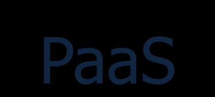 2010 PaaS