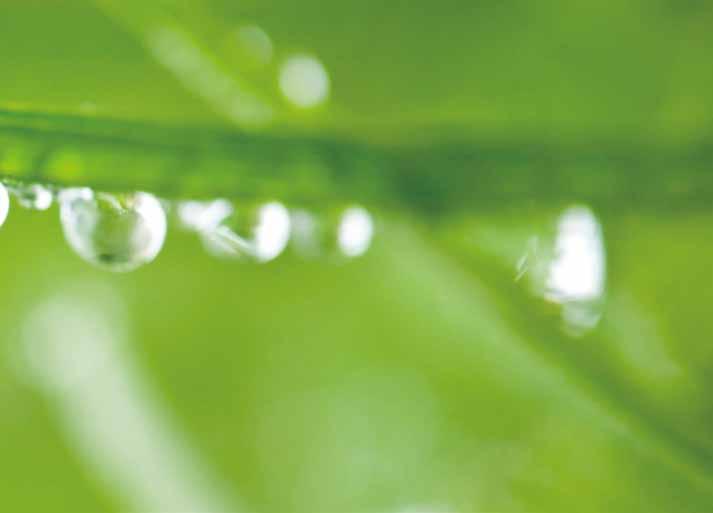 Ⅳ 에코힐링을위한실내공기정화식물목록 공기정화식물순위