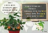식물학적특성 분류 : 협죽도과 원산지 : 한국 일반적특징 우리나라에서자생는식물로마삭나무라고도불린다.