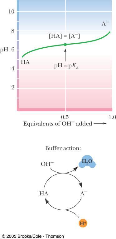 ph pka log [A ] [HA] Buffer system은약산인 HA와그짝염기인 A -.