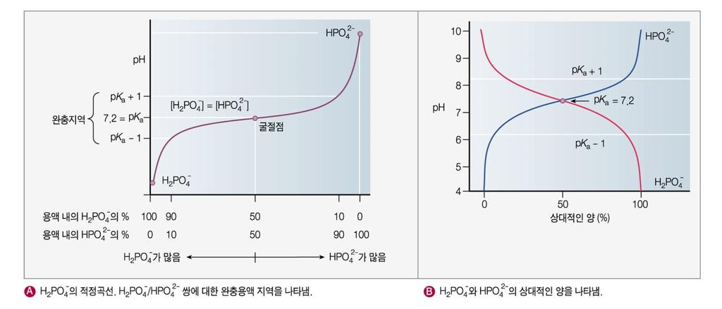 H2PO4 의경우, 적정곡선과완충작용사이의관계적정곡선에서편평한지역은 ph가급격하게바뀌지않는곳으로 pka의아래와위로약 ph1 단위정도의범위에걸쳐있음 이완충용액은 ph 단위로
