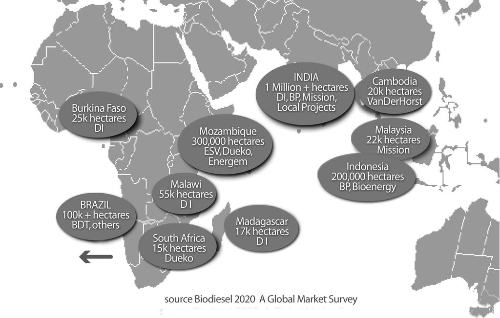 300 한국의대아프리카환경개발협력추진방안 그림 5-11. 전세계자트로파생산현황 자료 : Emerging Market Online(2009); Biodiesel 2020: A Global Market Survey. (http://www.emerging-markets.com/biodiesel/jatropha.html) 다.
