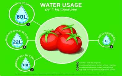 특히, 토마토 1kg을생산하는데소요되는물은노지에서 60L가소요되지만, 스마트팜과유사한첨단폐쇄식온실의수경재배 (high tech closed