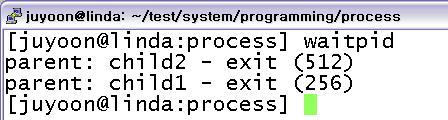 waitpid 옵션 WNOHANG PID 로지정한자식프로세스가종료하지않았으면자신의일을계속수행 pid_t pid1; if ((pid = fork()) > 0) { while (!