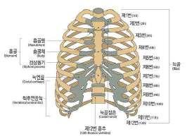나 ) 육안으로변형 ( 결손을포함 ) 을명백하게알수있을정도로방사선검사로측정한각 ( 角 ) 변형이 20 이상인경우다 ) 미골의기형은골절이나탈구로방사선검사로측정한각 ( 角 ) 변형이 70 이상남은상태 3) 빗장뼈 ( 쇄골 ), 가슴뼈 ( 흉골 ), 갈비뼈 ( 늑골 ), 어깨뼈 ( 견갑골 ) 에뚜렷한기형이남은때 라함은방사선검사로측정한각 ( 角 )