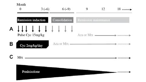 - 대한내과학회지 : 제 77 권부록 4 호 2009 - Figure 4. Guideline summary for the management of ANCAassociated vasculitis (Data obtained from ref. 2). Figure 3. Classification algorithm. (Data obtained from ref. 8).