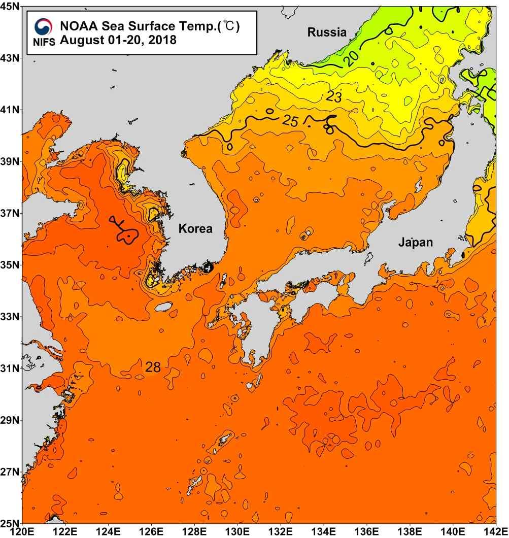 0 인공위성자료로분석된한반도주변해역의 8 월표층수온 - 동해연근해역 : 26 ~ 28 로평년에비해 1 ~ 2 높음 - 남해연근해역 : 25 ~ 28 로평년에비해 1