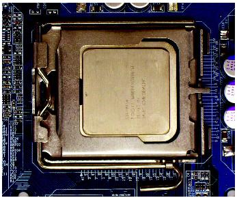 금속레버 그림 1 CPU 소켓에있는금속레버를천천히똑바로들어올리십시오. 그림 3 C P U 소켓의가장자리에있는작은금색삼각형을주의하십시오. CPU 의들어간모서리를삼각형에맞추고천천히 CPU 를삽입하십시오.