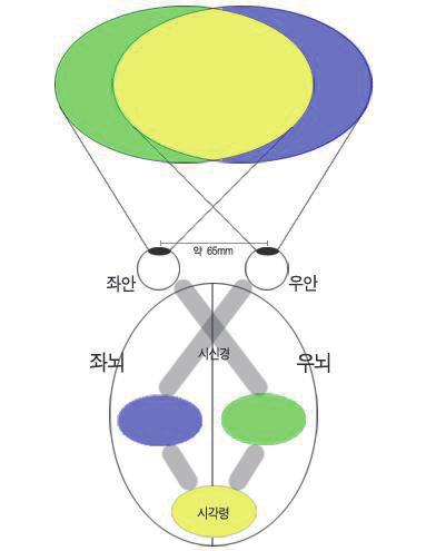 제 2 장해외디스플레이동향 - 기판소재는플렉서블디스플레이의핵심기술로서현재는유리기판, 금속판등도연구되고있으나궁극적으로플라스틱기판이적용될것으로예상됨 - 원가절감을목표로연속공정적용을통한저비용대량생산방식의기술개발이이루어지고있음 - 연속공정인 Roll-to-Roll 공정시공정처리율이높아져 LCD, PDP에서사용하는배치공정에비해원가절감효과가높음 9) -