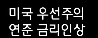 정치리스크확산 위험회피심리고조 유가급등 원유수입국취약비용인플레위험 무역위축중국경착륙 패권전쟁장기화 글로벌금리상승신흥시장달러강세자금유출亞신흥국취약