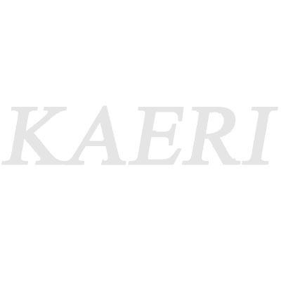 최종보고서 KAERI/RR-2365/2002
