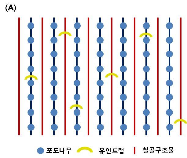 Fig.41. 날개트랩의설치장소에따른꽃매미의유인효과검정.