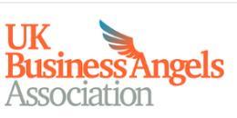 (UK business angels association) : 연간 15