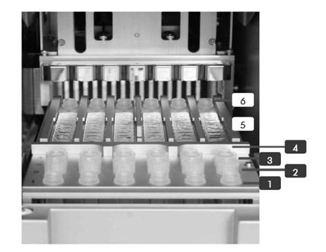 - PCR Kit를개봉하고제품에포함된시약및효소들의 activity가영향을받지않도록 ice나 lap top cooler를이용하여준비하고원심분리