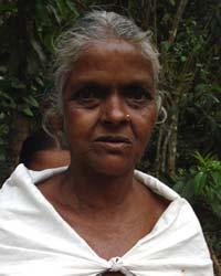 Malayalam 미전도종족을위한기도인도의 Usta 민족 : Usta 인구 : 1,300 세계인구 : 1,300 미전도종족을위한기도인도의 Vaddar (Hindu traditions) 민족 : Vaddar (Hindu