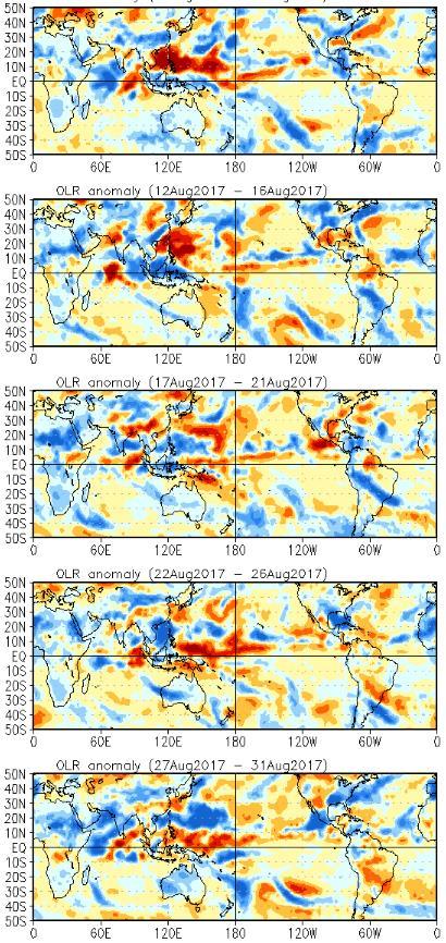 26) 우리나라는평년보다북서쪽으로확장한북태평양고기압의영향으로남서류가유입되었음 젂지구대류활동 (OLR) 및 MJO a) 5 일평균 OLR 편차
