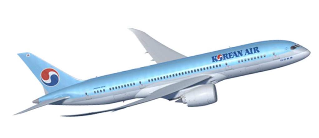 민항기국제공동개발사업 787 사업