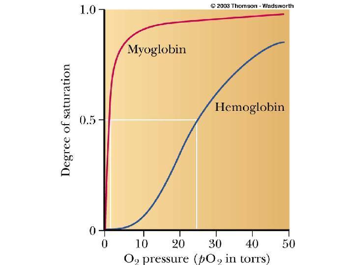Hb 와 Mb 의 O 2 결합곡선 Hb: -sigmoidal shape (s 자곡선형 ), Hb + no 2 <--> HbO 2 K a = [HbO 2 ]/[Hb][O 2 ] n ; Y = K a