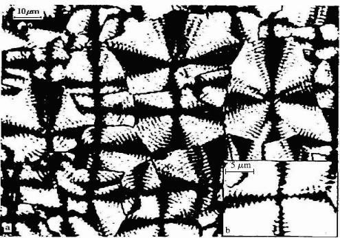 그림 6-18 Spherulite 내에서고분자사슬배열을나타내는도식적모형 4) 결정공간메움단계 (Quarternary order) 골격을갖춘 spherulite 의빈공간을저분자나 wax 또는 filler 가메움.