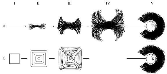 그림 6-22 Keith 에의한 spherulite 형성과정의연속적단계를나타내는도식적모형.