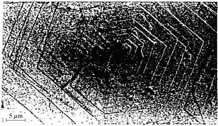 그림 6-5 (a) hallow pyramid 붕괴모형. (b) 건조시주름이잡히면서붕괴한비평면 PE 결정의현미경사진 6.1.