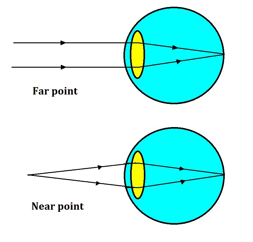 눈의조절기능 (accommodation) 근점 (near point): 가장가까이있는물체의상을선명하게 망막에맺도록하는눈에서물체까지의거리 원점 (far