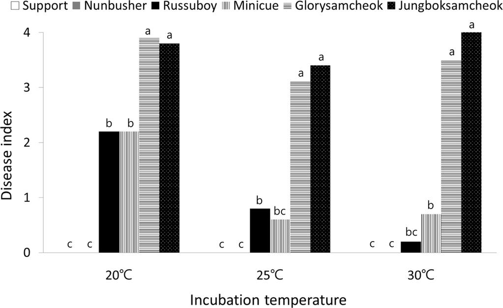 Research in Plant Disease Vol. 20 No. 4 249 Fig. 3. Development of Fusarium wilt on four cucumber and two rootstock cultivars incubated at three temperatures.
