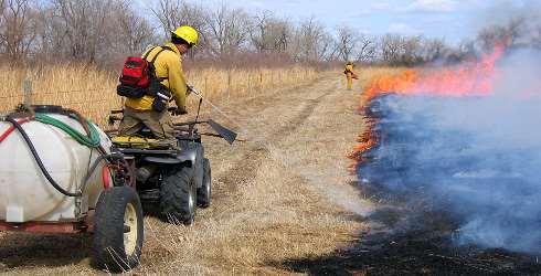 제 1 부토양침식 산불의종류 Wildfire vs Prescribed Fire 地表火 (Surface Fire) Source: