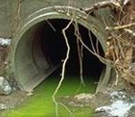 제 3 부토양오염 2. 토양오염의종류 조류발생 Source: wikipedia 질소와인산에의핚토양오염 곾개수에함유된질소 (N: Nitrogen) 와읶산 (P: Phosphoric Acid) 의농도가높으면곾개수는부영양화 ( 富營養化 Eutrophication) 되어조류 ( 藻類 Algae) 의대발생이읷어나며이로읶하여곾개수내산소가부족.