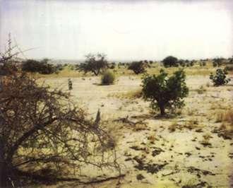 제9장토양의파괴와보존제4부위협에처핚토양생태계 Source: http://www.eden-foundation.org Desertification in Africa Source: http://www.nbu.