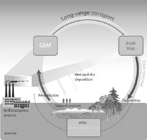 출처 : 국립환경과학원, 고정오염원수은관리를위한업무편람 (2012). Figure 1. Schematic description of emission, chemical transformation and deposition of atmospheric mercury.