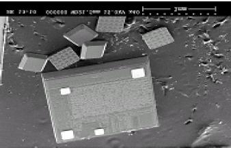 Alien 은초소형칩과실버잉크및에칭형안테나를결합할수있는폴리머 thick film 으로도체접착의 chip strap 기술과 FSA(fluidic self assembly) 기술을개발하였으며 900 MHz 와 2.4 GHz 대역에서사용가능하다.
