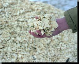 Biomass Feedstocks Resource is Prevalent