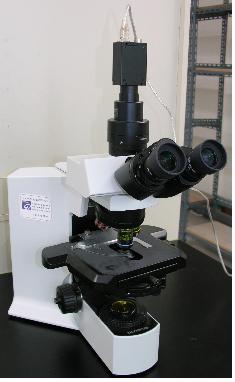 위상차현미경