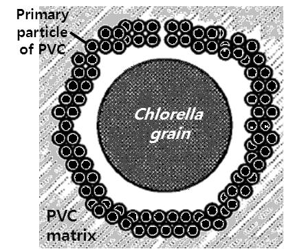 미세조류에의한이산화탄소의생물학적유기자원화 고최적화해야한다. Figure 2. Chlorella vulgaris-pvc 복합체. ethylene와같은다양한폴리머에중량의절반까지혼입하여신장성과열가소성을부여하는충진제로활용된다 [13].