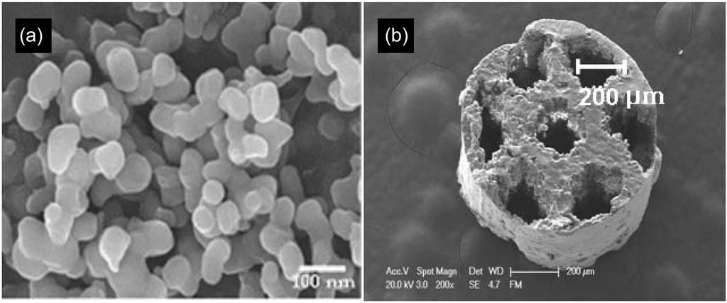 김영희 Anirban Jyoti 변인선 오익현 민영기 양훈모 이병택 송호연 620 Fig. 1. Microstructure of β-tcp particles and granule: (a) β-tcp nano powder fabricated by microwave assisted process.