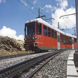 India Darjeeling Himalayan Railway 2,203m 2.2 추진시스템적용현황해외산악철도의경우산악지형특성, 열차운영및탑승인원을고려하여급경사지구간에대한추진시스템을달리적용하고있다.