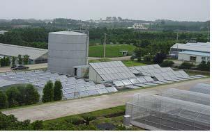 Jaeju Solar Thermal Demonstration