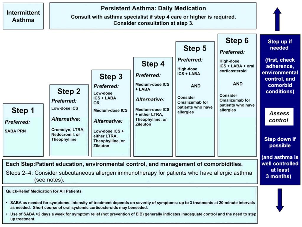 - 윤호주. 기관지천식의최신약물치료지침 - Figure 2. Stepwise approach for managing asthma in adults (NAEPP) 일환으로자신의상태를평가하는등다양한용도에유용하게사용하고있다. 천식치료약물의선택은환자의현재의천식조절정도와치료내용에의해결정된다.