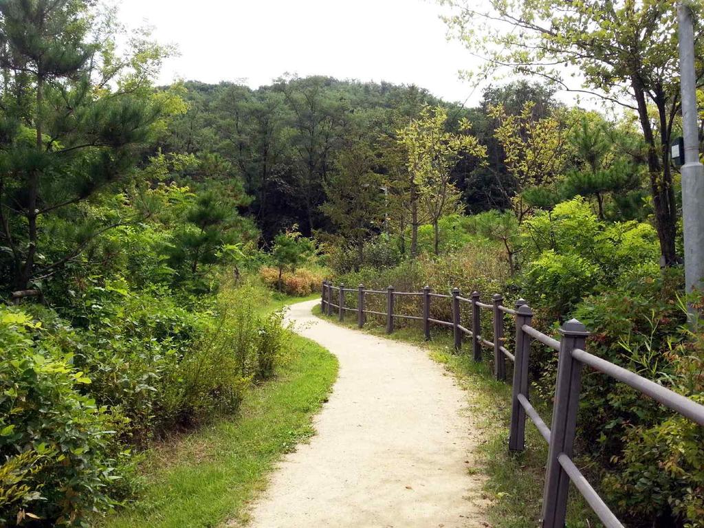 시작점 구로올레길 산림형 3코스 시작 푸른수목원 - 서울시 최초로 조성된 시립수목원 - 친환경 관리를 하는 생태의 섬 - 2100여 종의 식물과 25개 테마원으로 구성되어 아이와 함께 방문하기 좋음 - 6개의 숨겨진 식물을 찾아 스탬프를 찍는 스탬프