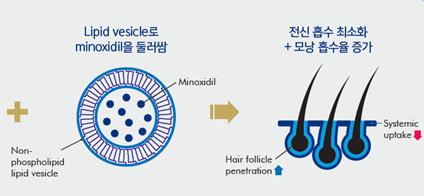 Nonphispholipid lipid vesicle Minoxidil Hair folicle penetration Systemic uptake