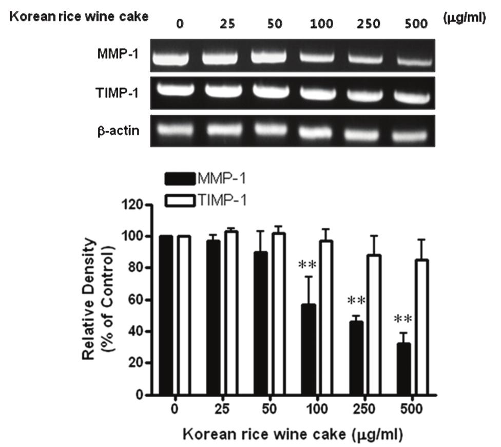 1842 생명과학회지 2010, Vol. 20. No. 12 감사의글 본논문은농촌진흥청농업과학기술개발공동연구사업 ( 과제번호 PJ006761201003) 의연구비지원에의하여연구되었으며, 이에감사드립니다. References Fig. 5. Effect of Korean rice wine cake on MMP-1 gene expression.