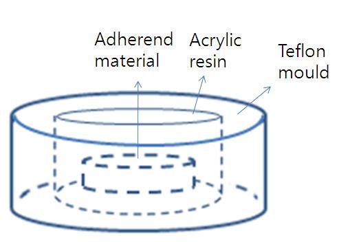 Fig.1. Illustration of embedding specimen in the acrylic resin (2) 지르코니아시편의제작과프라이머의적용 이연구에사용한지르코니아시편은 Degudent사의 Cercon base로제작방법은다음과같다.