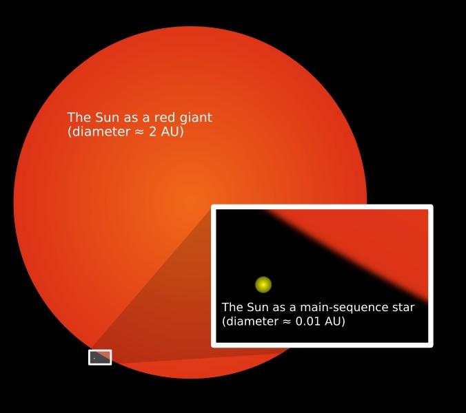 별 멀리 있는 태양 * 제 7 장 * 5/16 별의 특징과 분류 나이, 세대, 그리고 화학적 조성 별이 함유한 금속 성분의 비(metallicity)는 별의 나이 및 세대와 연관 ( 금속 성분은 별에서 만들어지므로!