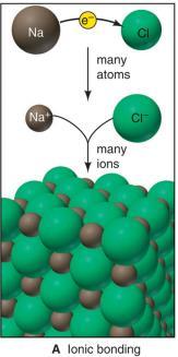 carbonate 탄산 Cr 2 4 chromate 크로뮴산 Cr 2 2 7 dichromate 다이크로뮴산 2 2 peroxide 과산화 S 2 4 sulfate 황산 P 3 4 phosphate 인산 Gilbert N. Lewis J. Am. Chem. Soc.